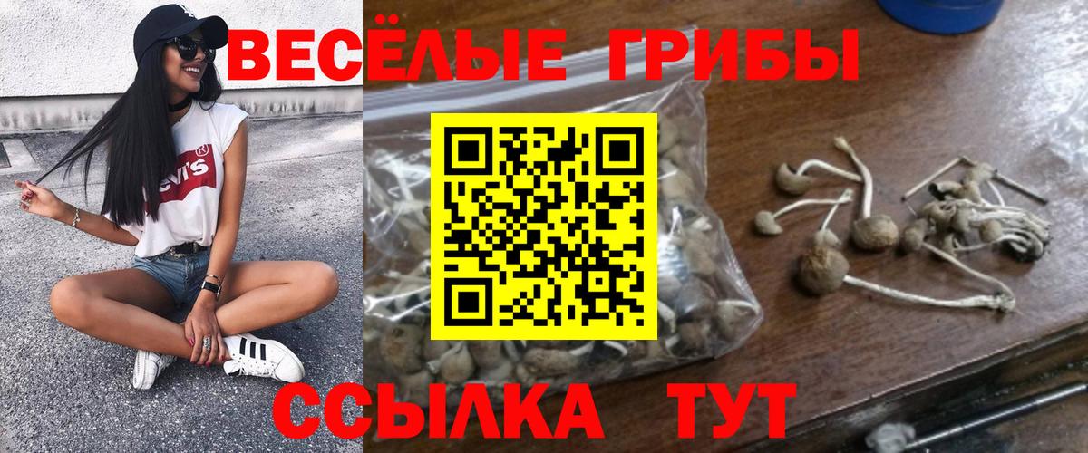 Зеленодольск  цена наркотик  Вход с VPN  Галлюциногенные грибы прущие грибы  Галлюциногенные грибы мухоморы 