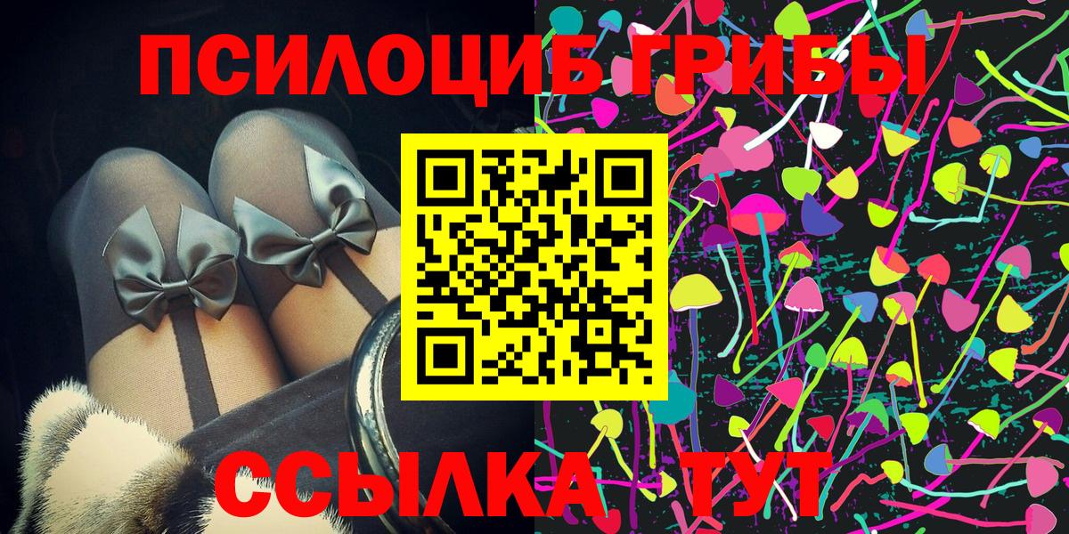 Псилоцибиновые грибы Cubensis Зеленодольск